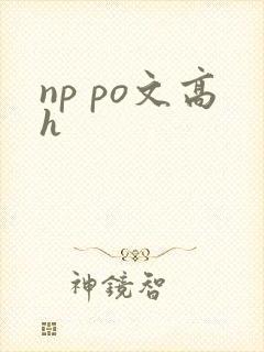 np po文高h
