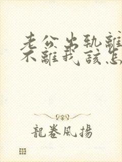 老公出轨离婚他不离我该怎么办