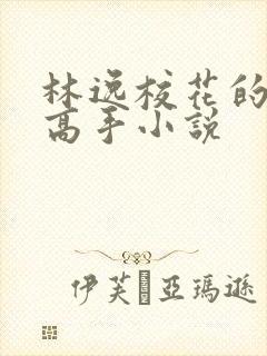 林逸校花的贴身高手小说
