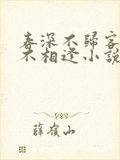 春深不归客清梦不相逢小说免费阅读