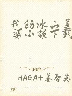 我的冰山美女老婆小说下载封面