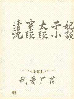 清穿太子妃康熙沈皎皎小说4
