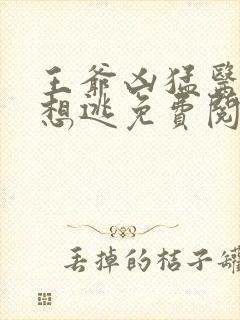 王爷凶猛医妃只想逃免费阅读封面