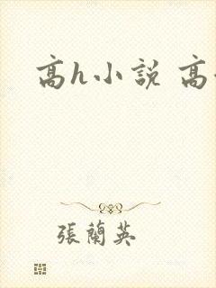 高h小说 高潮