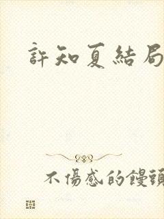 许知夏结局