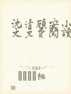 沈清顾安小说全文免费阅读封面