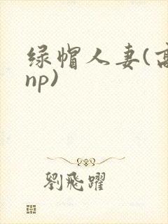 绿帽人妻(高hnp)