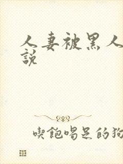 人妻被黑人干小说封面