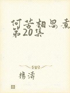 何苦相思煮余年第20集