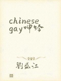 chinesegay呻吟封面