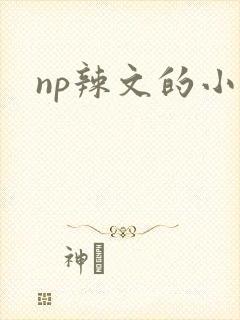 np辣文的小说封面