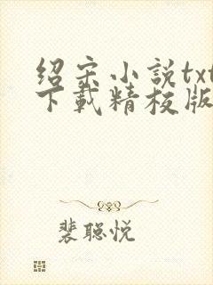 绍宋小说txt下载精校版