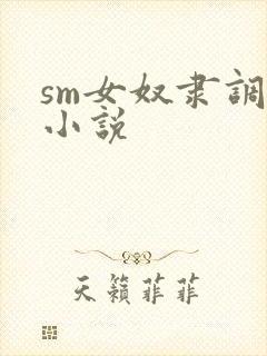 sm女奴隶调教小说封面
