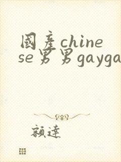 国产chinese男男gaygay 网站