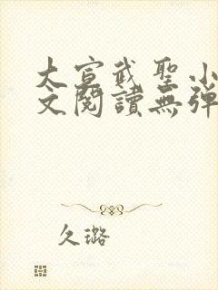 大宣武圣小说全文阅读无弹窗