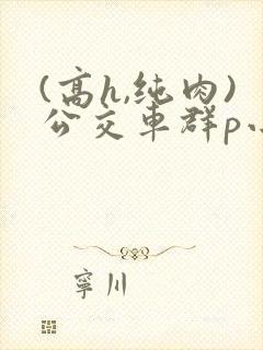 (高h,纯肉)公交车群p小说