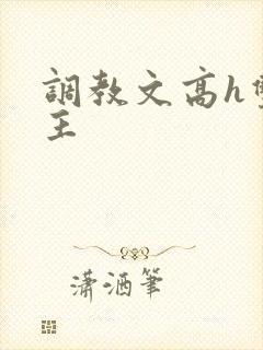 调教文高h双男主