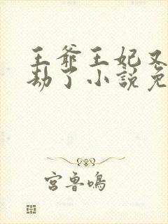 王爷王妃又去打劫了小说免费封面