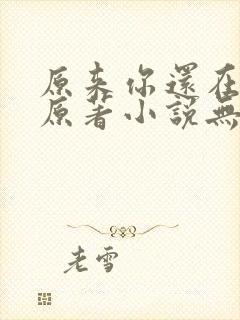原来你还在这里原著小说无删减