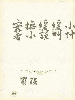 安抚缓缓小说原著小说叫什么名字封面