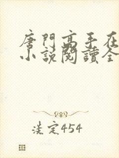 唐门高手在异世小说阅读全文