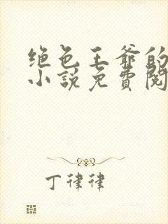 绝色王爷的傻妃小说免费阅读