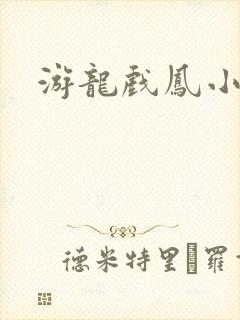游龙戏凤小说封面