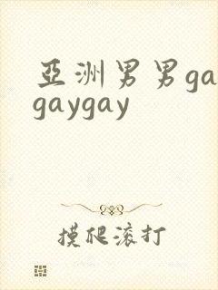 亚洲男男gaygaygay