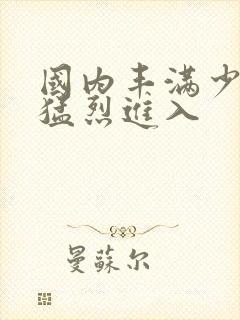 国内丰满少妇被猛烈进入