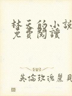 林天的小说全文免费阅读