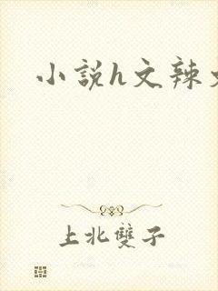 小说h文辣文封面
