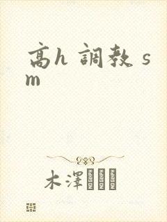 高h 调教 sm