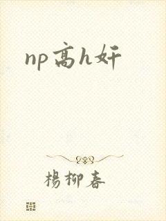 np高h奸