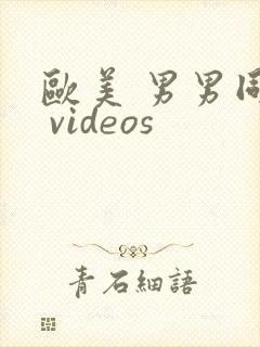 欧美 男男同性 videos