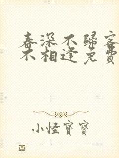 春深不归客清梦不相逢免费阅读
