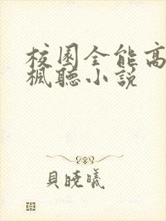 校园全能高手季枫听小说