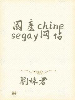 国产chinesegay网站
