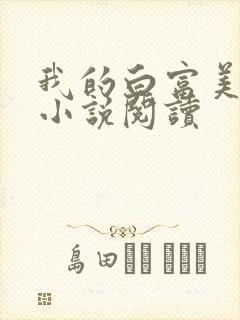 我的白富美老婆小说阅读