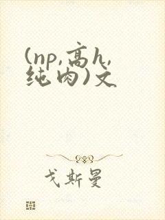 (np,高h,纯肉)文