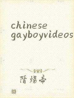 chinesegayboyvideos