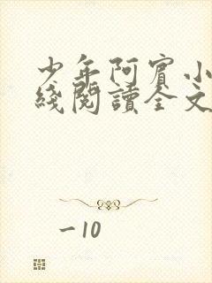 少年阿宾小说在线阅读全文免费