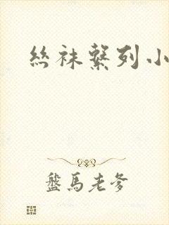 丝袜系列小说