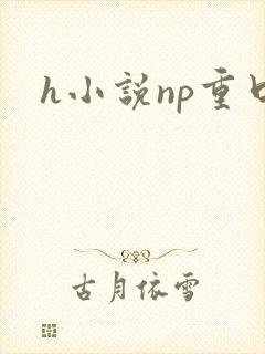 h小说np重口封面
