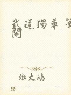 武道独尊 笔趣阁