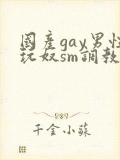 国产gay男性玩奴sm调教小蓝封面