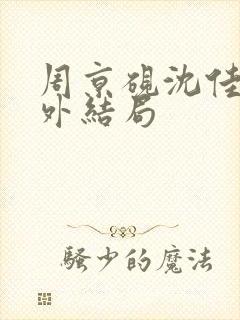 周京砚沈佳期番外结局封面