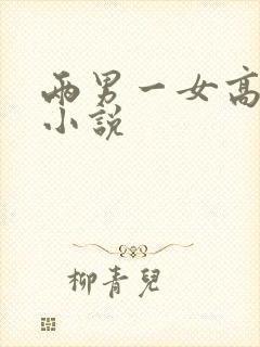两男一女高h文小说封面