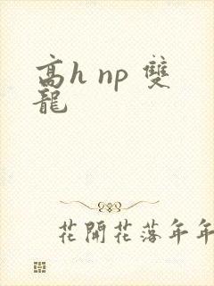 高h np 双龙封面