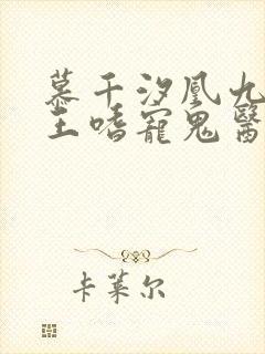 慕千汐凰九夜邪王嗜宠鬼医狂妃免费阅读