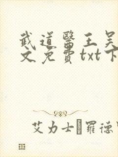 武道医王吴东全文免费txt下载封面